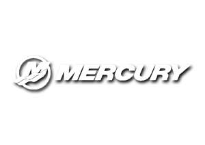 mercury Aussenborder