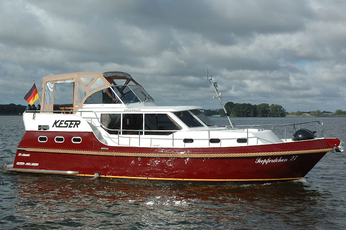 Seepferdchen 11