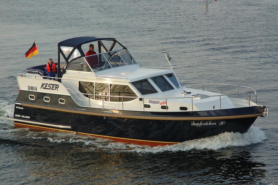 Seepferdchen 30
